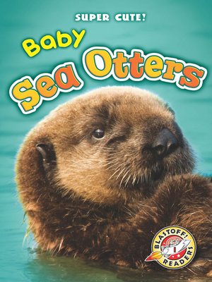 cover image of Baby Sea Otters
